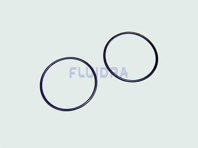 Pumpe SENA O-ring 54x2.5 til Union 2stk.       