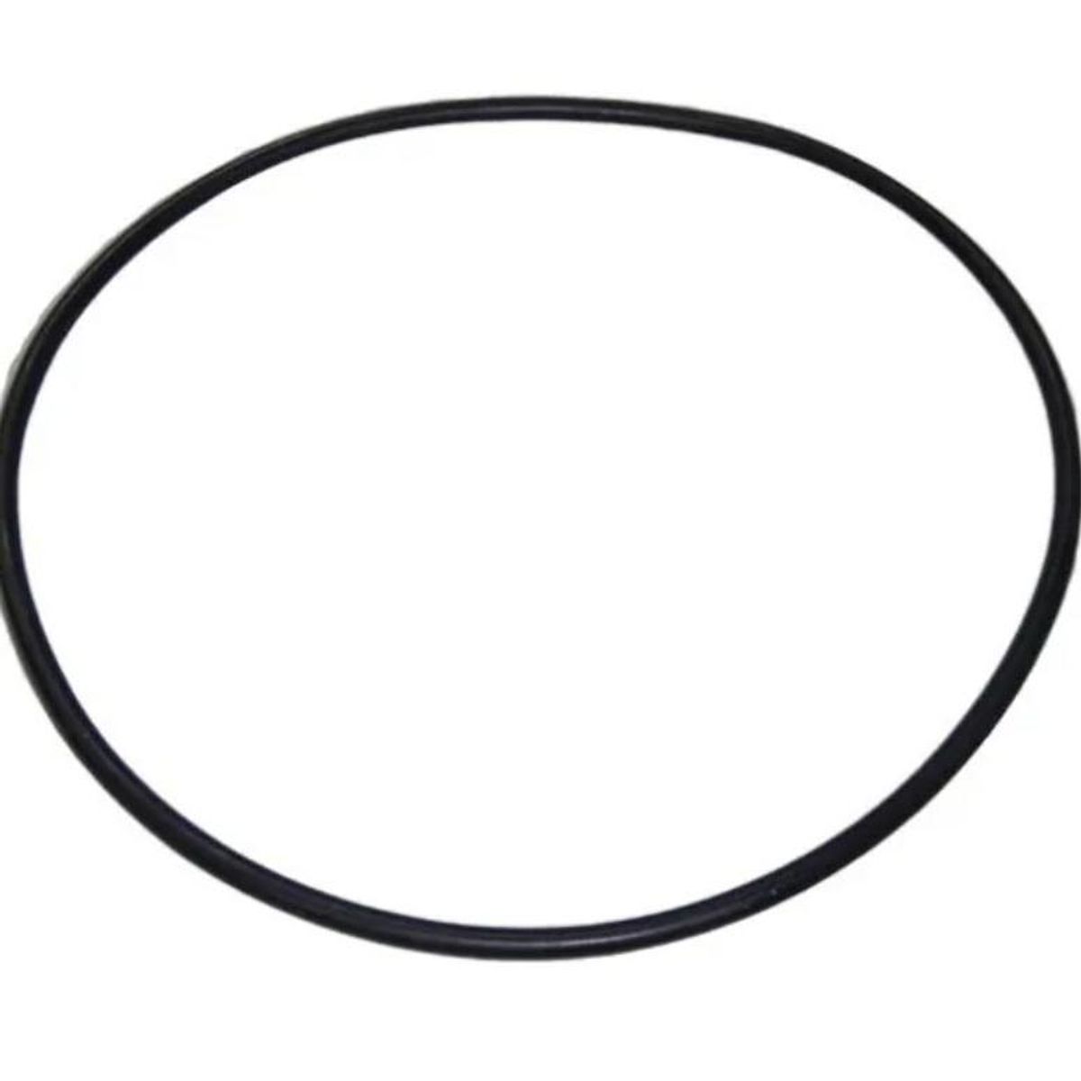 Pumpe ASTRAL MAXIM 3.5-5.5HK O-ring 226x6