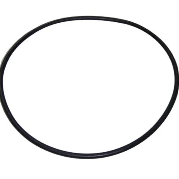 Hovedbilde Pumpe ASTRAL MAXIM 3.5-5.5HK O-ring 226x6