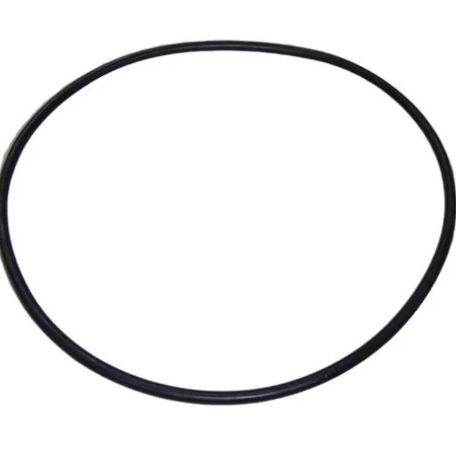 Hovedbilde Pumpe ASTRAL MAXIM 3.5-5.5HK O-ring 226x6